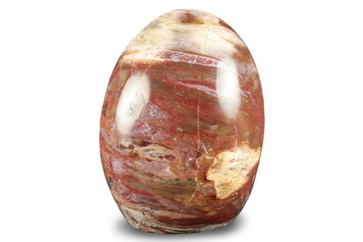 Free-Standing, Polished Petrified Wood - Madagascar #246133